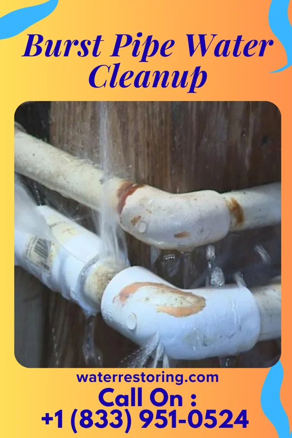 Burst Pipe Water Cleanup in Ransom, IL