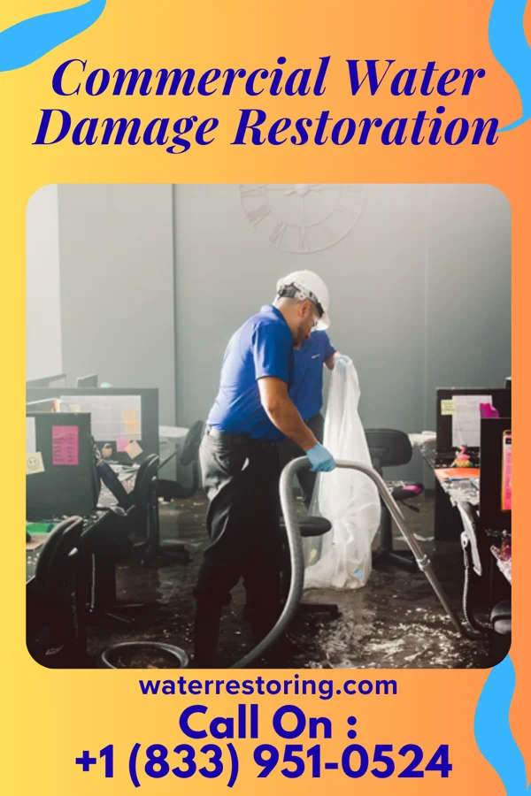 Commercial Water Damage Restoration in Ransom, IL