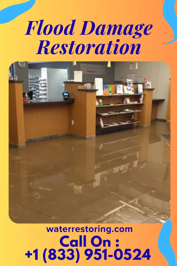 Flood Damage Restoration in Ransom, IL